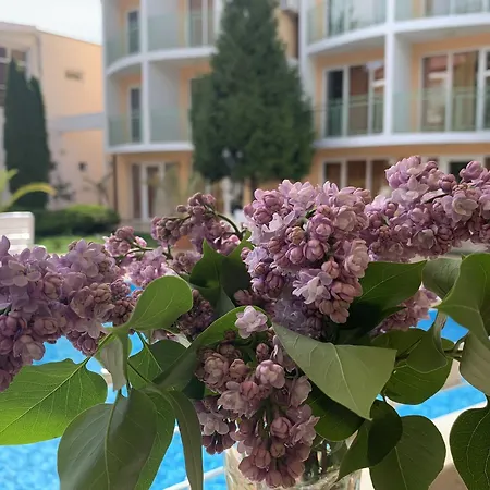 Sun Slantschew brjag